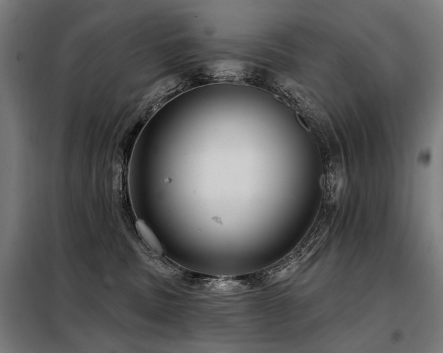 X0000098070379200804041130