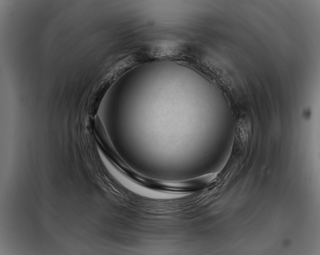 X0000098070380200804041130