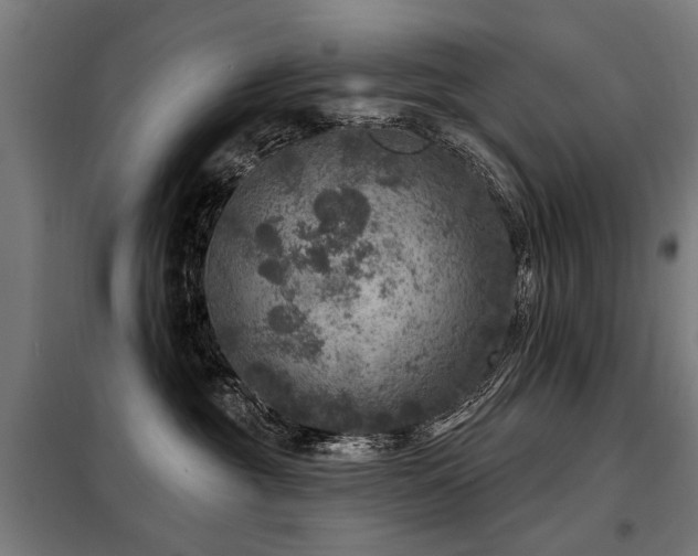 X0000098070381200804041130