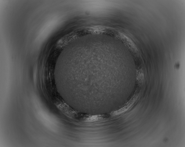 X0000098070382200804041130