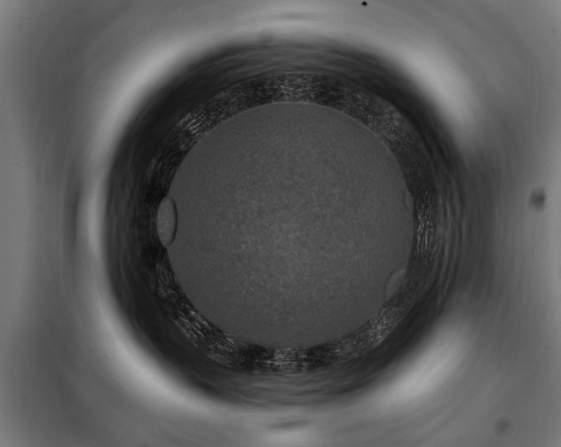 X0000098070383200804041130