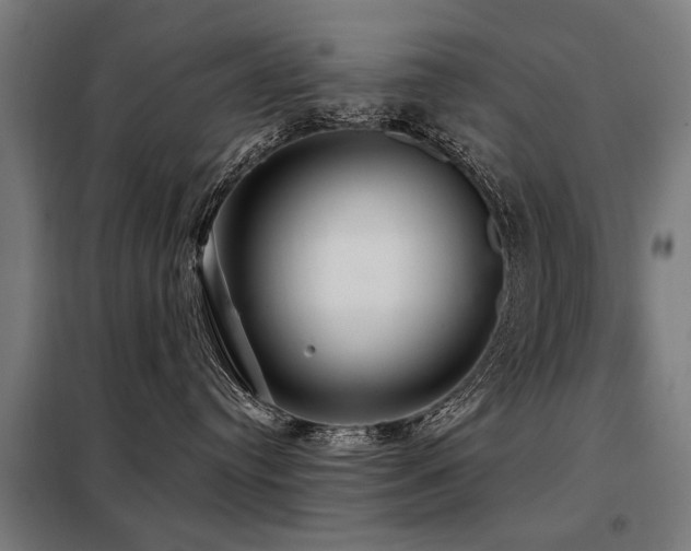 X0000098070384200804041130