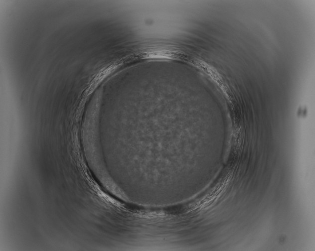 X0000098070385200804041130