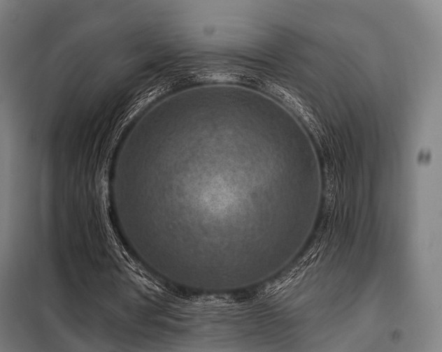 X0000098070386200804041130