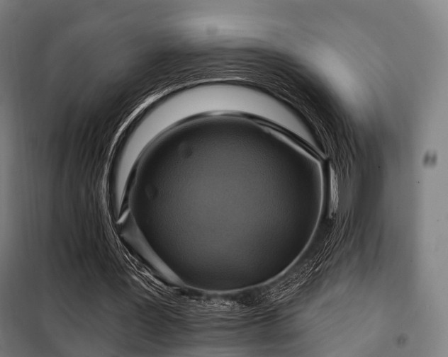 X0000098070387200804041130