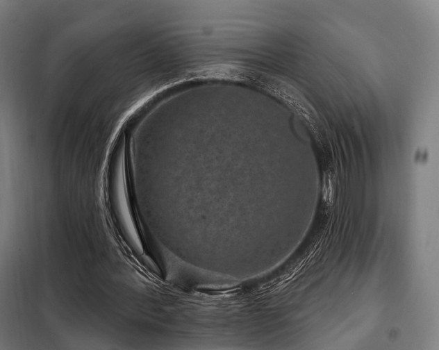 X0000098070388200804041130