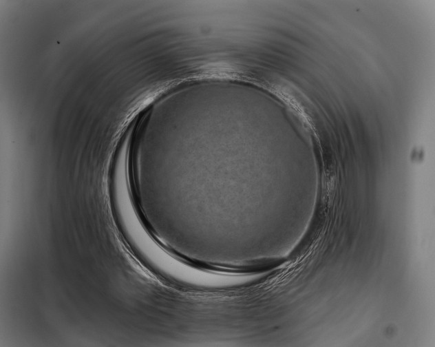 X0000098070389200804041130