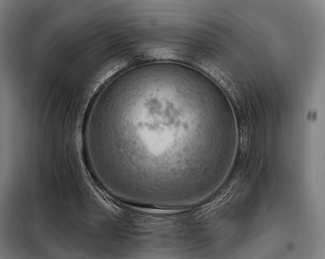 X0000098070390200804041130