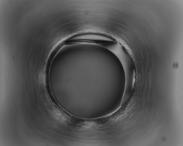 X0000098070391200804041130