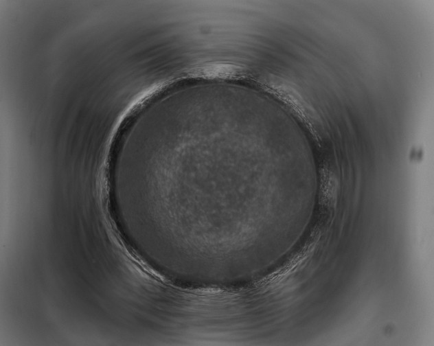 X0000098070392200804041130