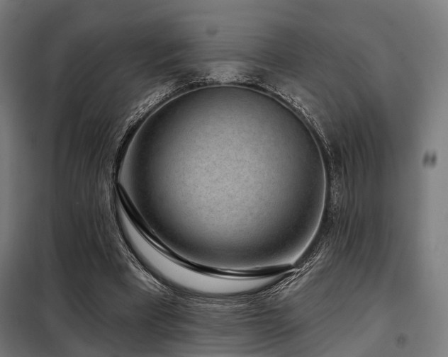 X0000098070393200804041130