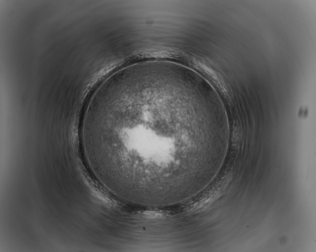 X0000098070394200804041130