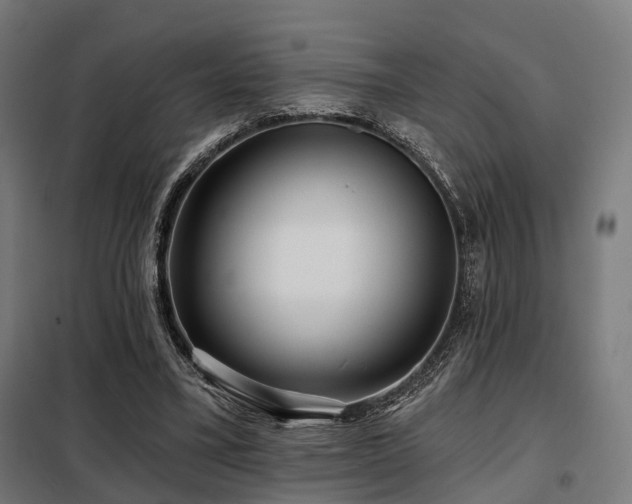 X0000098070395200804041130