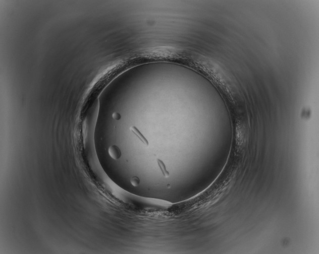 X0000098070396200804041130