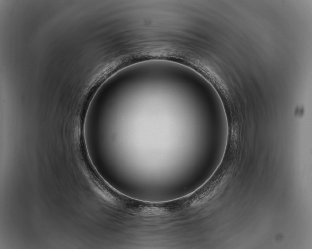 X0000098070397200804041130