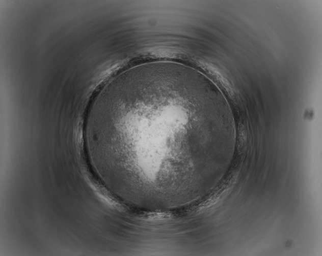 X0000098070398200804041130