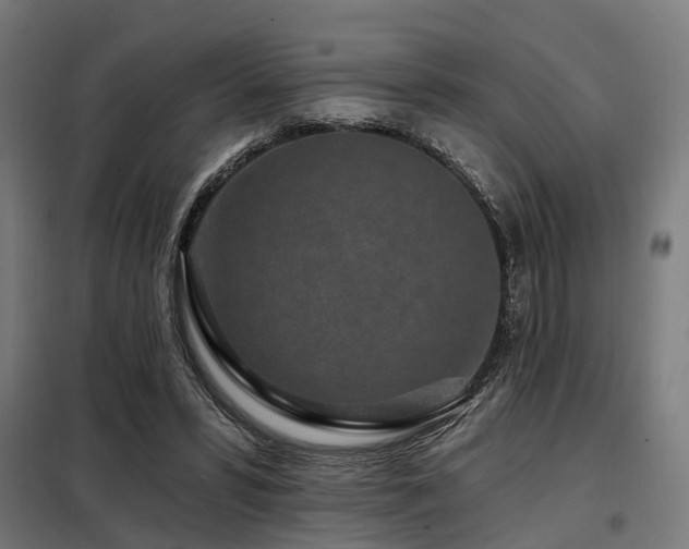 X0000098070399200804041130