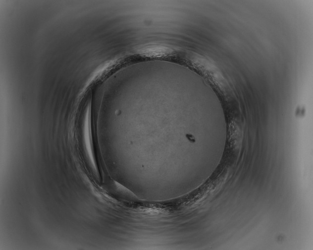 X0000098070400200804041130