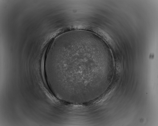 X0000098070401200804041130