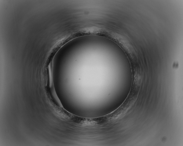 X0000098070403200804041129