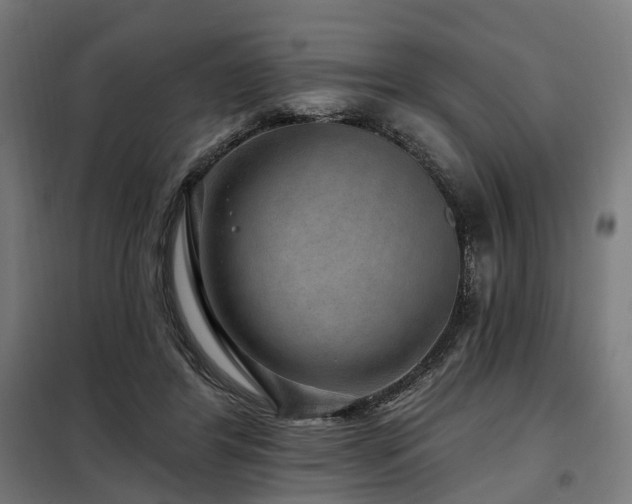 X0000098070404200804041129