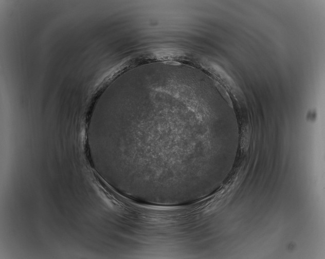 X0000098070405200804041129