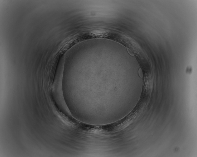 X0000098070408200804041129