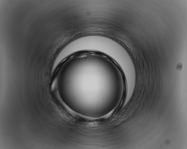 X0000098070411200804041129