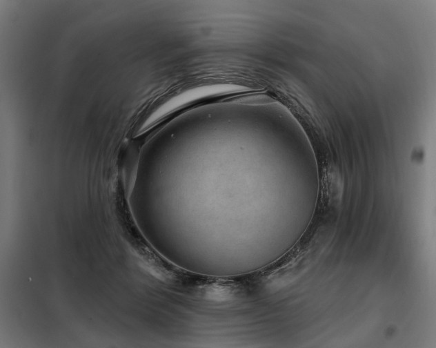 X0000098070412200804041129