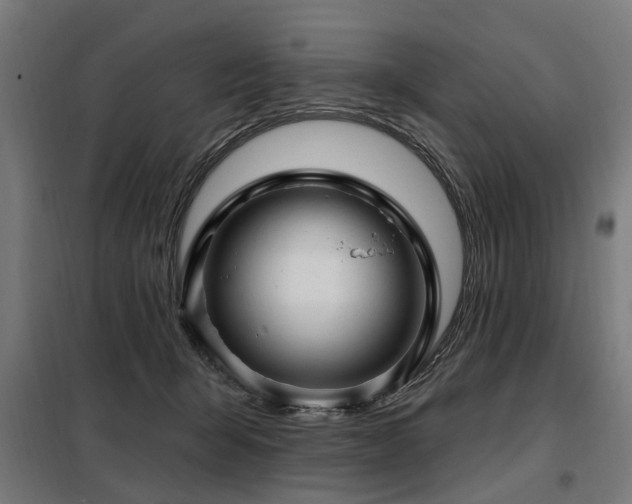 X0000098070415200804041129