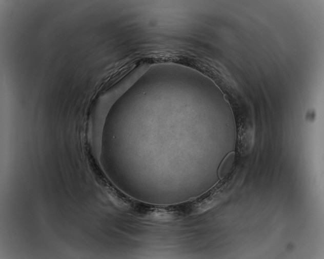 X0000098070416200804041129