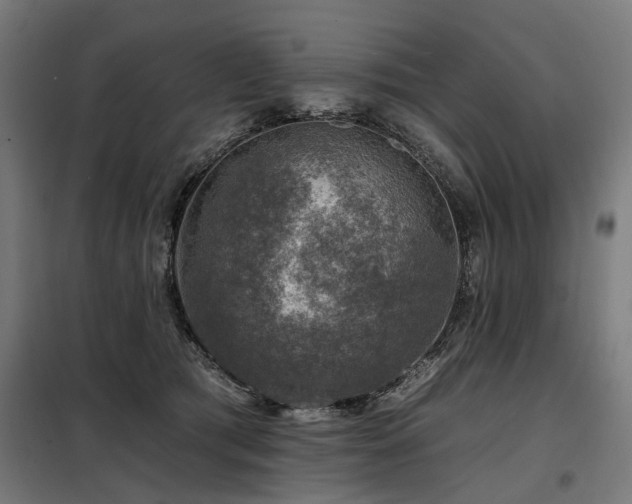 X0000098070417200804041129