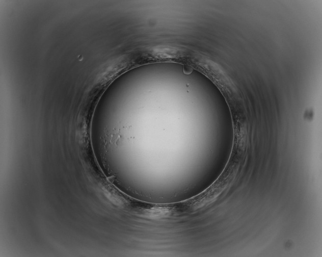 X0000098070418200804041129