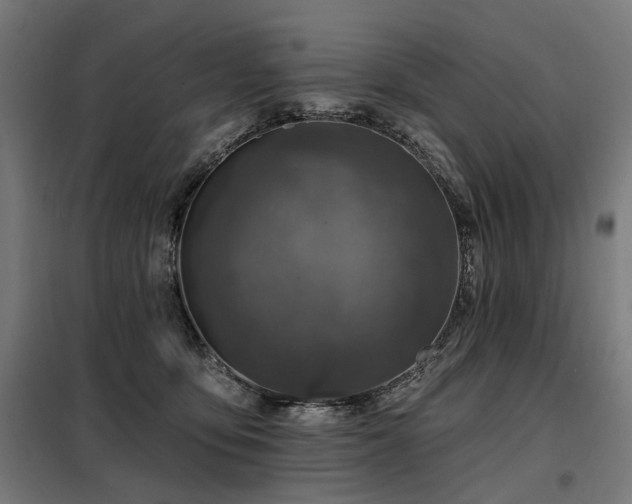 X0000098070419200804041129