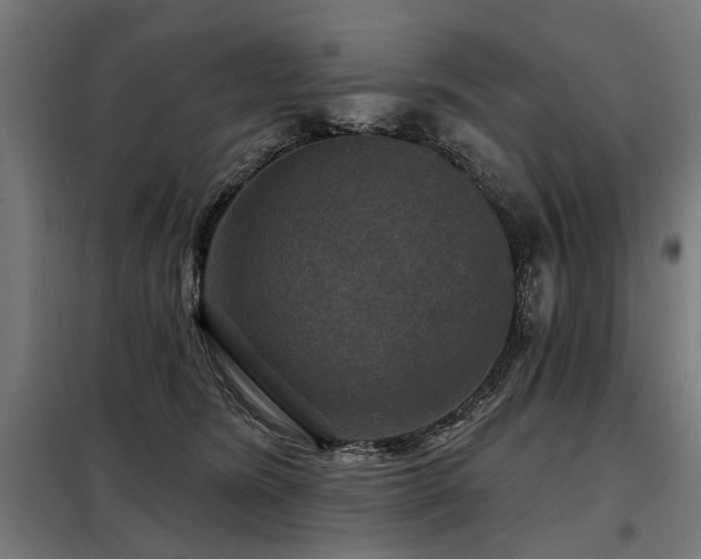 X0000098070420200804041129