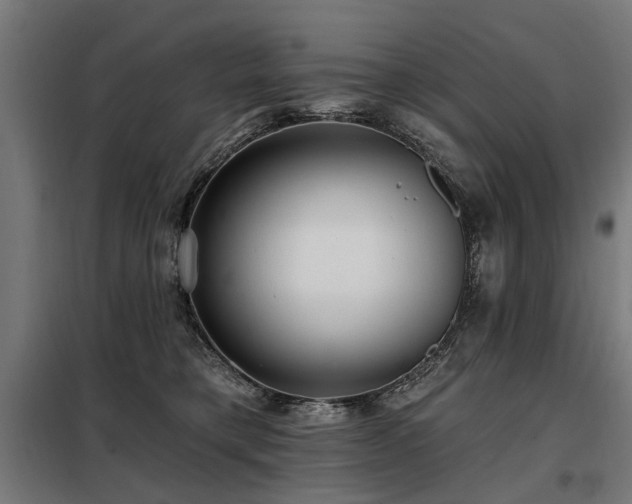 X0000098070421200804041129