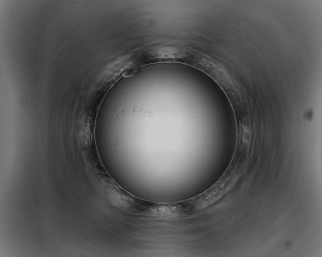 X0000098070422200804041129