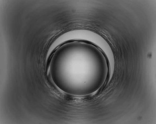 X0000098070423200804041129