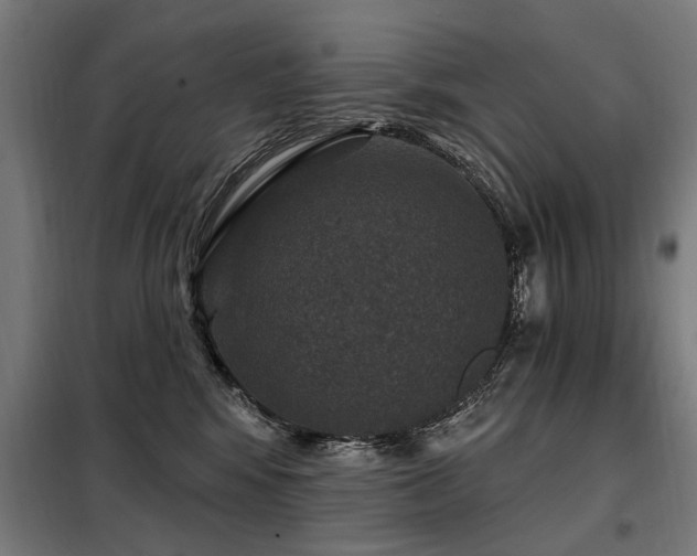 X0000098070424200804041129