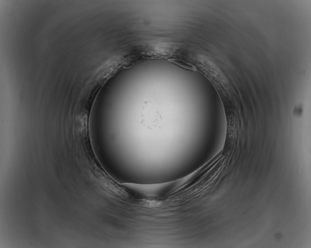 X0000098070425200804041129