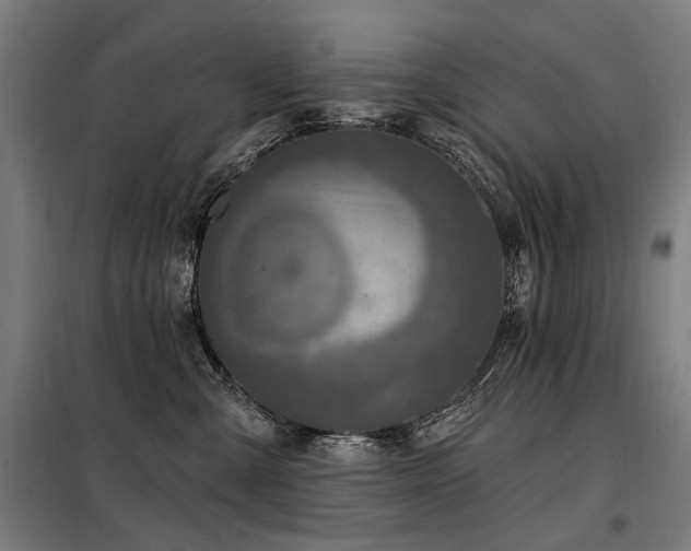 X0000098070427200804041129