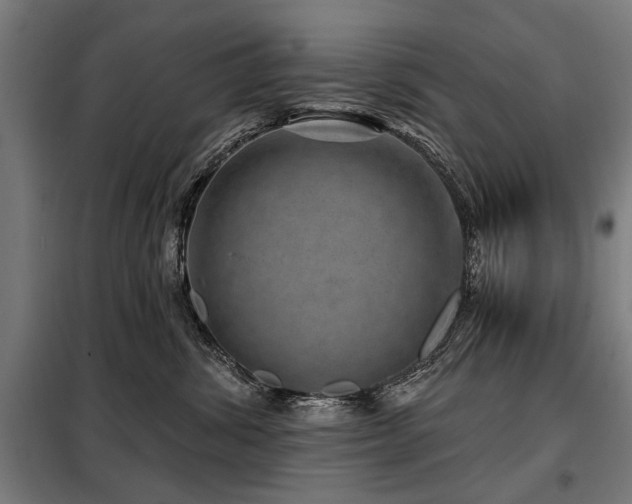 X0000098070428200804041129