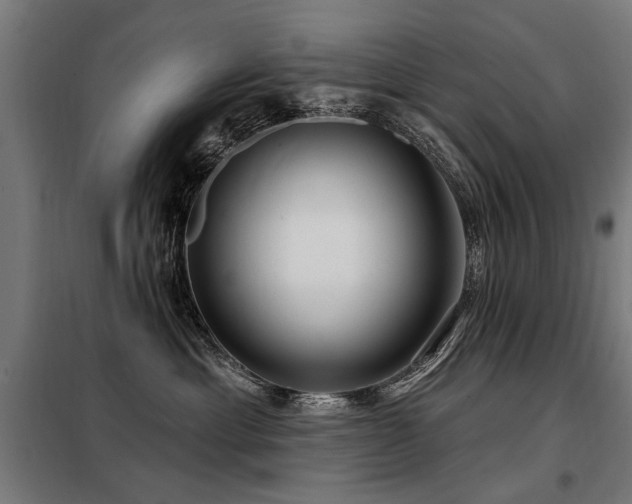 X0000098070429200804041129