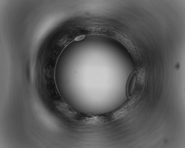 X0000098070430200804041129