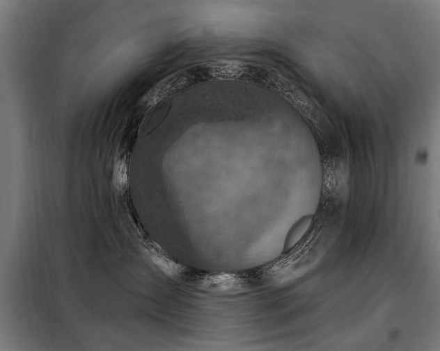 X0000098070431200804041129