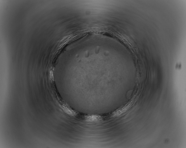 X0000098070432200804041129