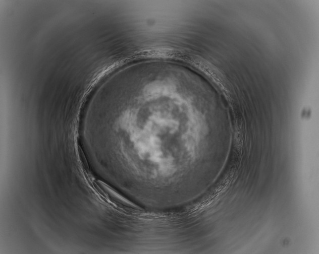 X0000098070434200804041128