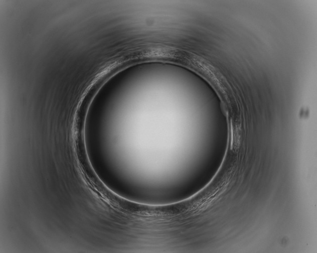 X0000098070435200804041128