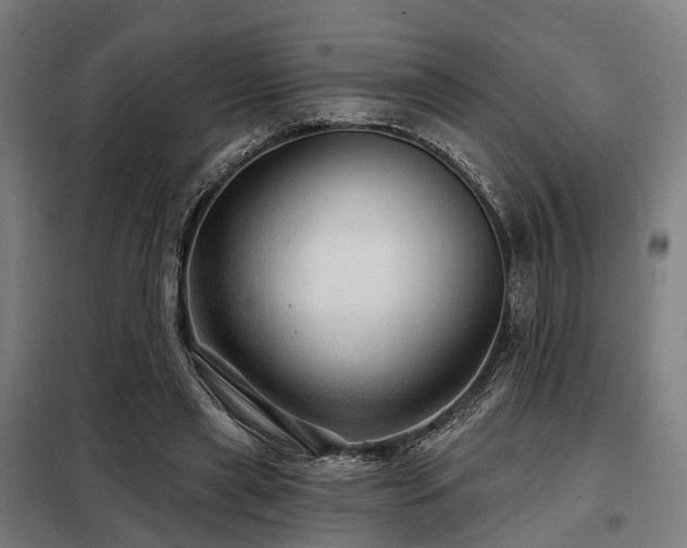 X0000098070445200804041128