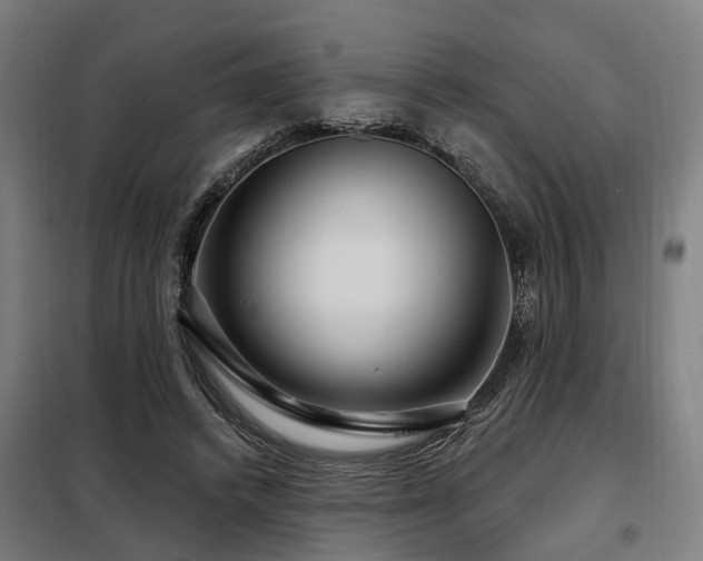 X0000098070448200804041128